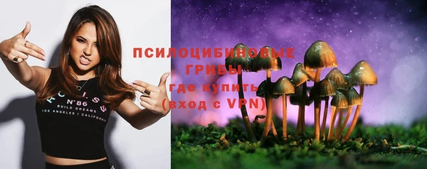 ПСИЛОЦИБИНОВЫЕ ГРИБЫ Арсеньев