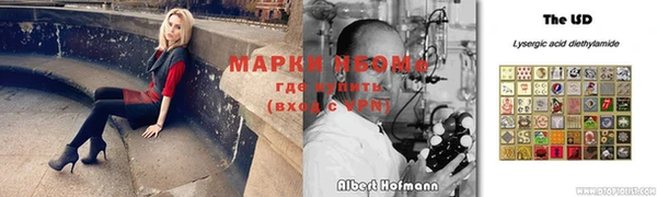 ПСИЛОЦИБИНОВЫЕ ГРИБЫ Арсеньев