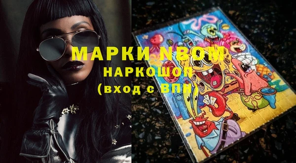 ПСИЛОЦИБИНОВЫЕ ГРИБЫ Арсеньев