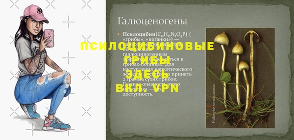 ПСИЛОЦИБИНОВЫЕ ГРИБЫ Арсеньев