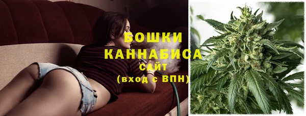 ПСИЛОЦИБИНОВЫЕ ГРИБЫ Арсеньев