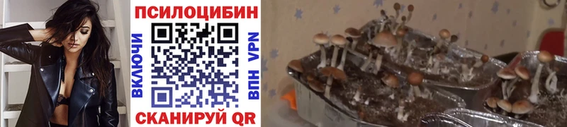 Псилоцибиновые грибы ЛСД  Кизел 